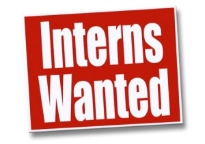 interns wanted