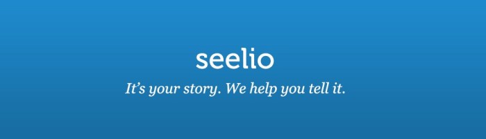 cropped-seelio-Blog-2