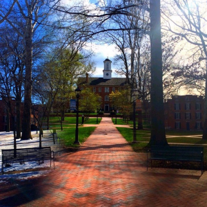 Screen Shot 2015-09-28 at 5.47.29 PM