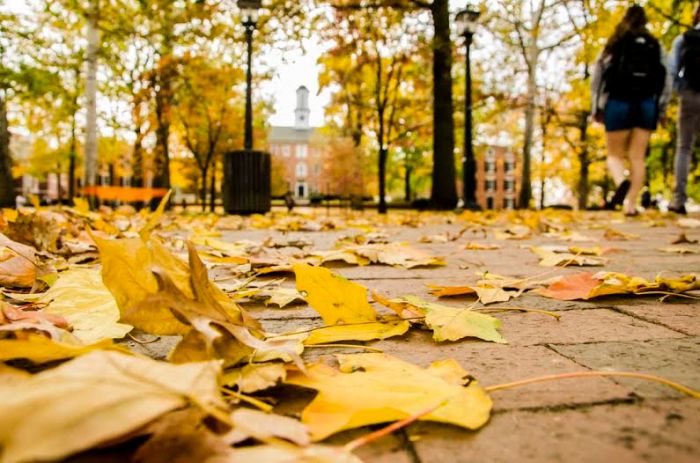 85c03f76-d003-4a66-81cf-f90c92a00cd4